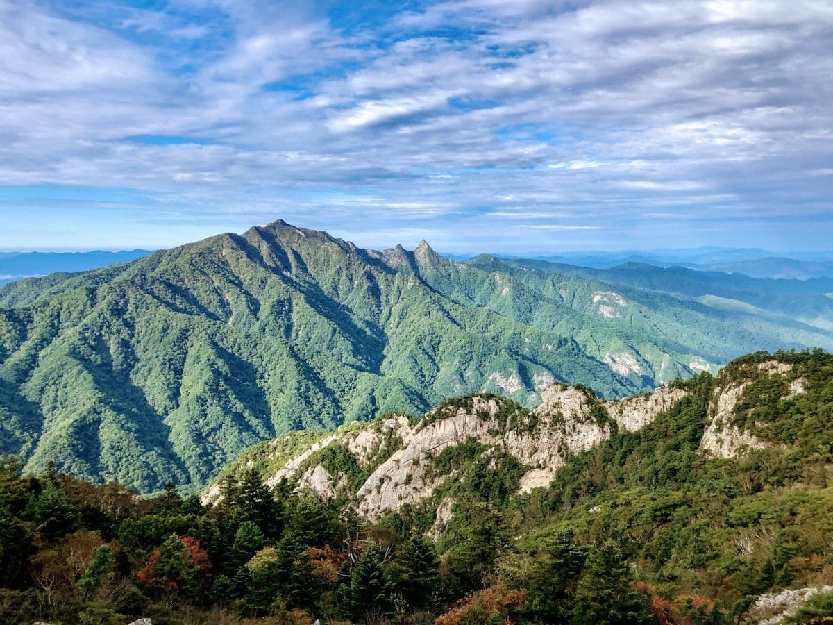 Saejae Bicycle Path thumbnail